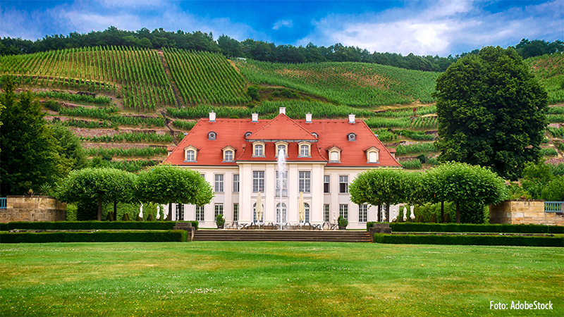 Vinomr�den Sachsen & Franken